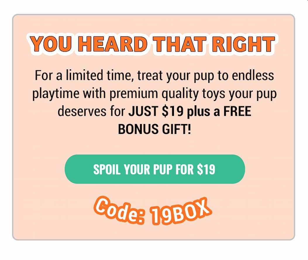 Bullymake Dog Toy Subscription Box