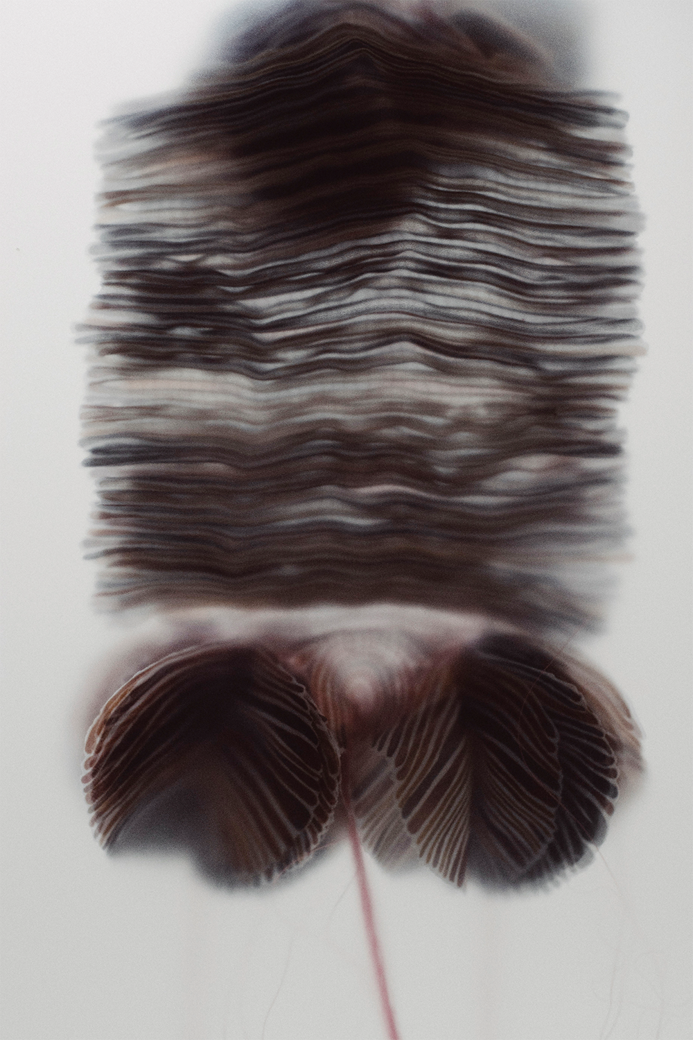 Fiberium 02