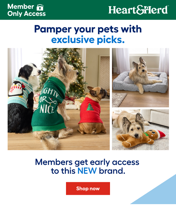 Pamper your pets with exclusive picks.