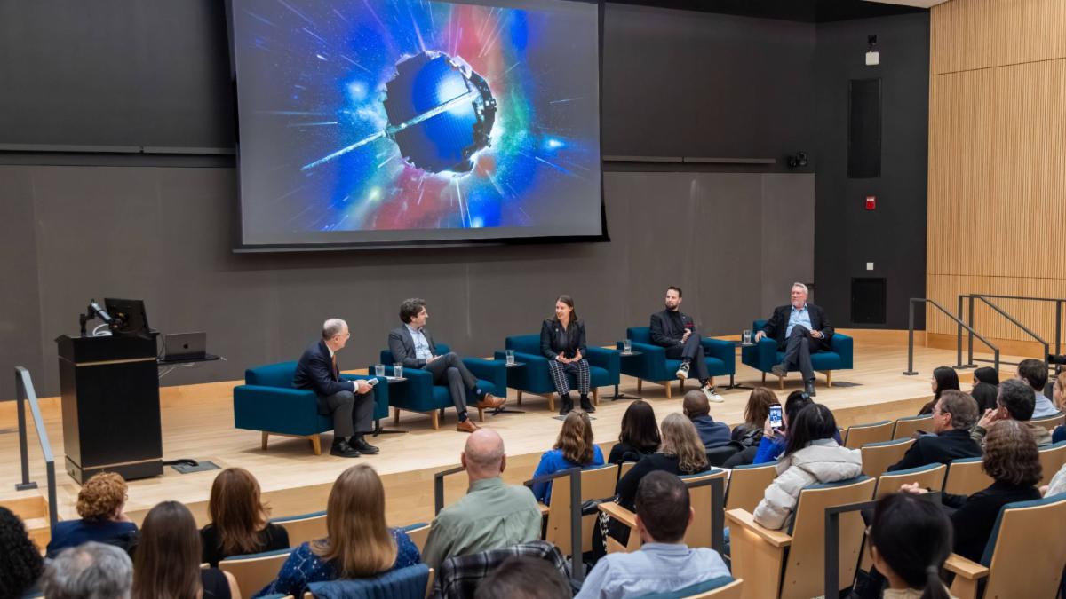 IMAP Panelists