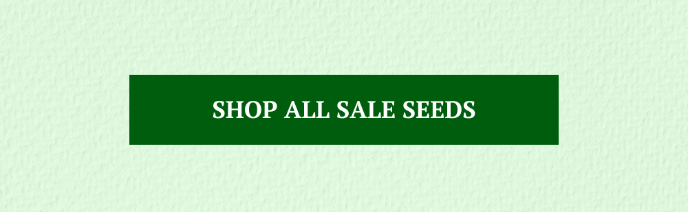 Shop All Sale Seeds