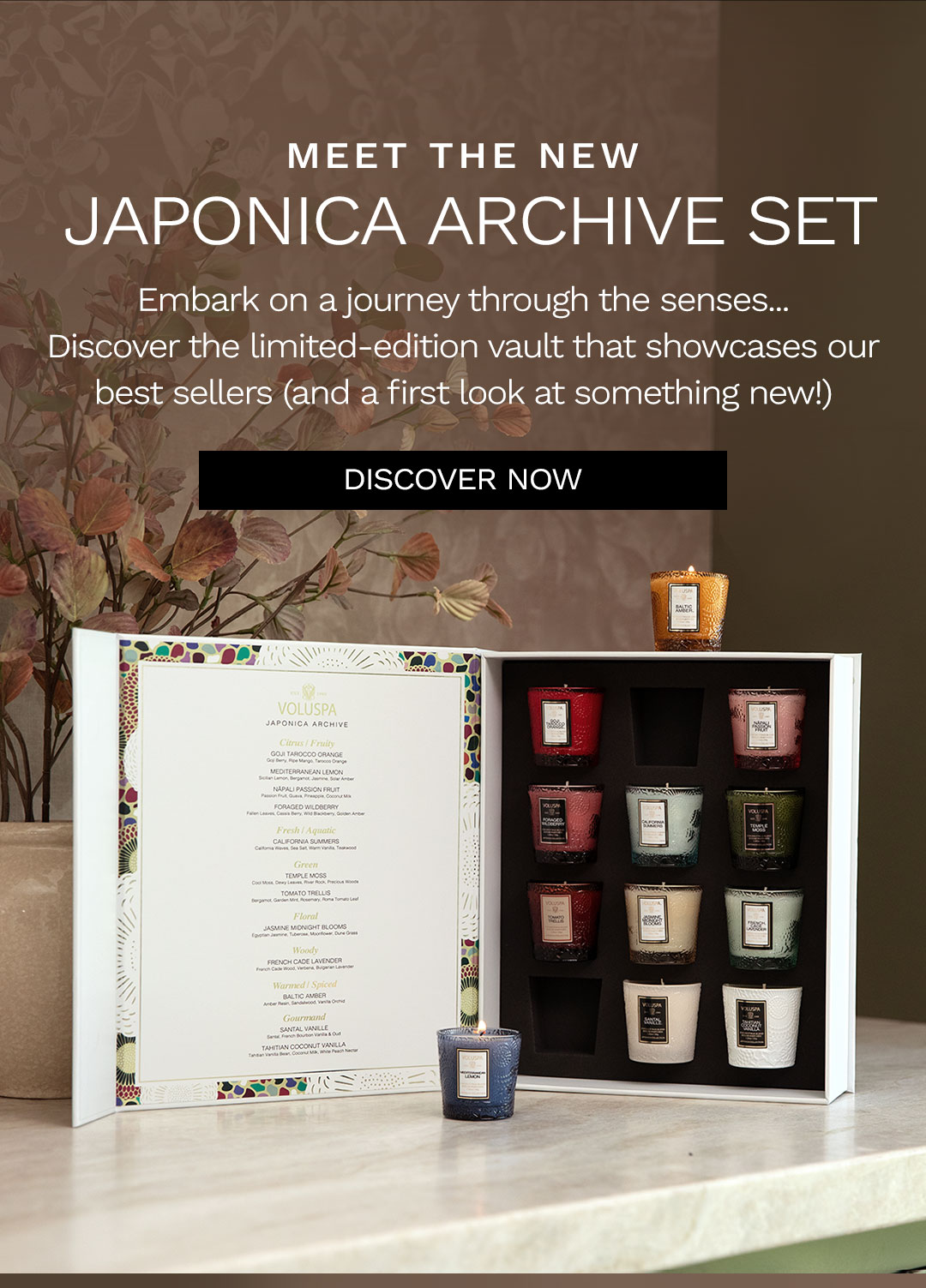 Meet the new Japonica Archive Set. Embark on a journey through the senses... Discover the limited-edition vault that showcases our. best sellers (and a first look at something new!) Discover now.