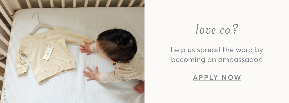 Apply to become an Ambassador