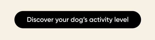 Discover your dog's activity level