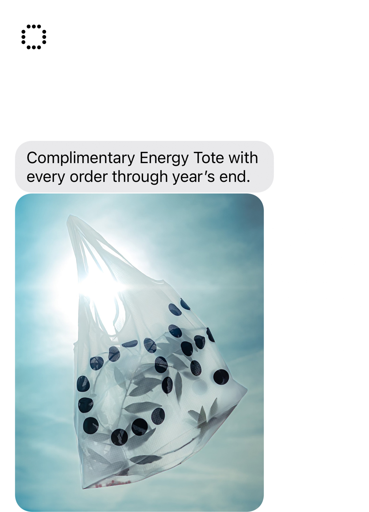 Complimentary Energy Tote