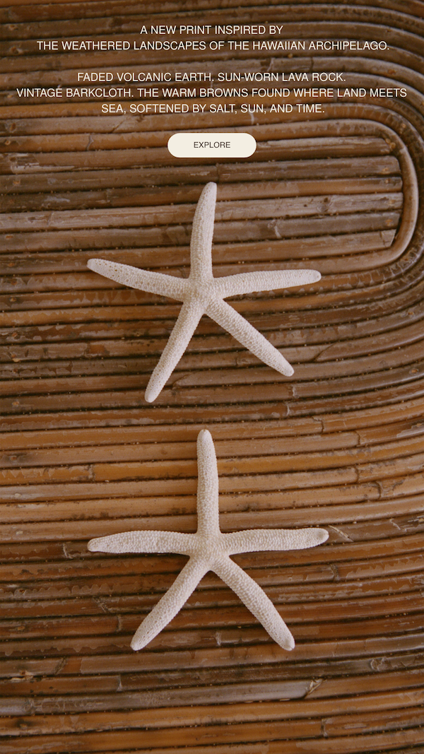 Sea stars on a table