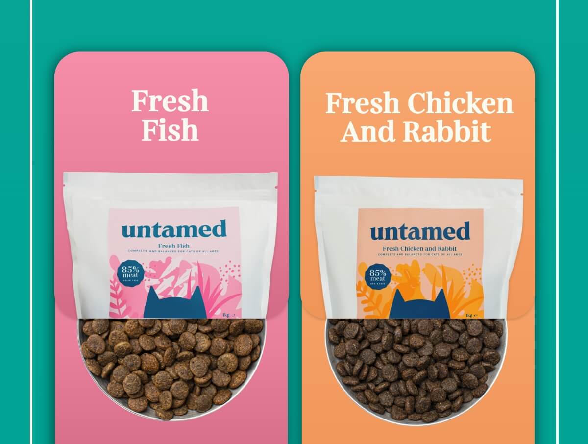 Try Dry Food