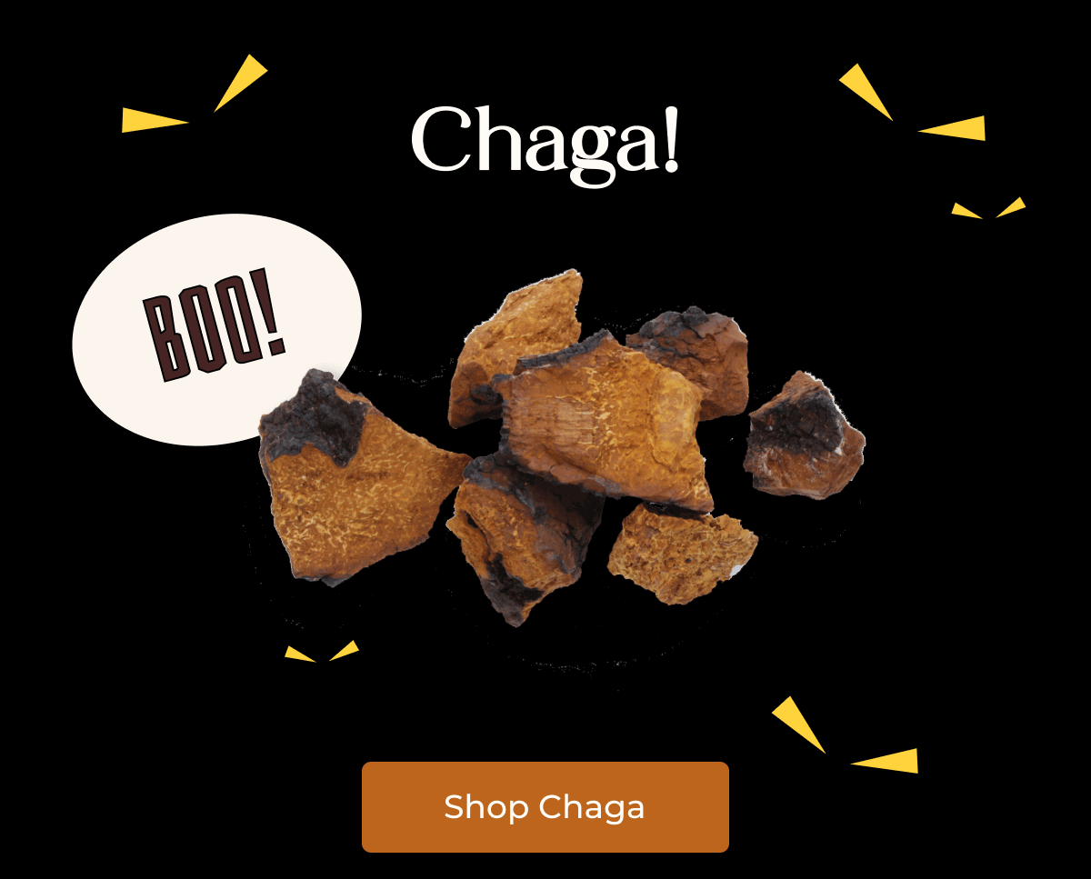 Chaga!
