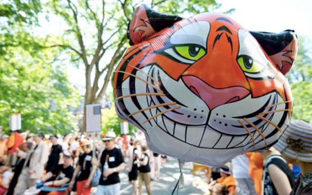 Tiger balloon