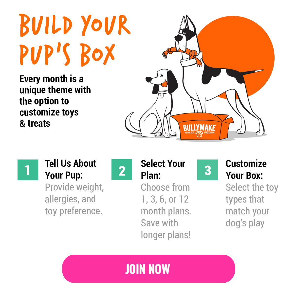 Bullymake Dog Toy Subscription Box