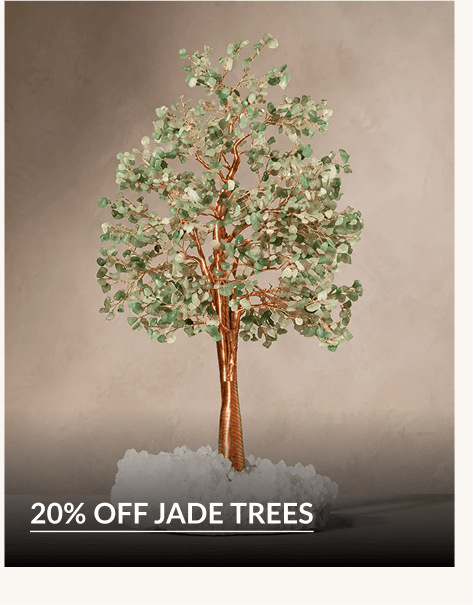 20% OFF JADE TREES