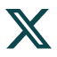 X Icon