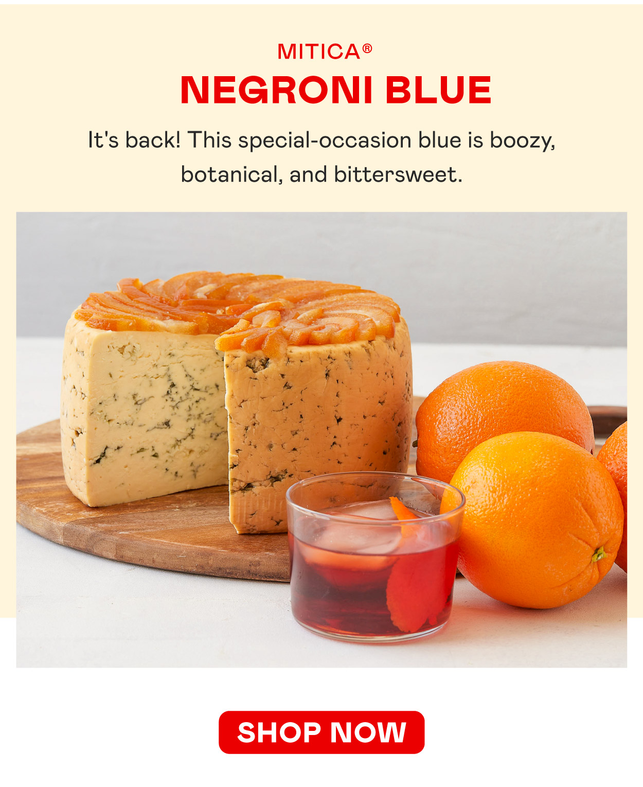 Mitica Negroni Blue​