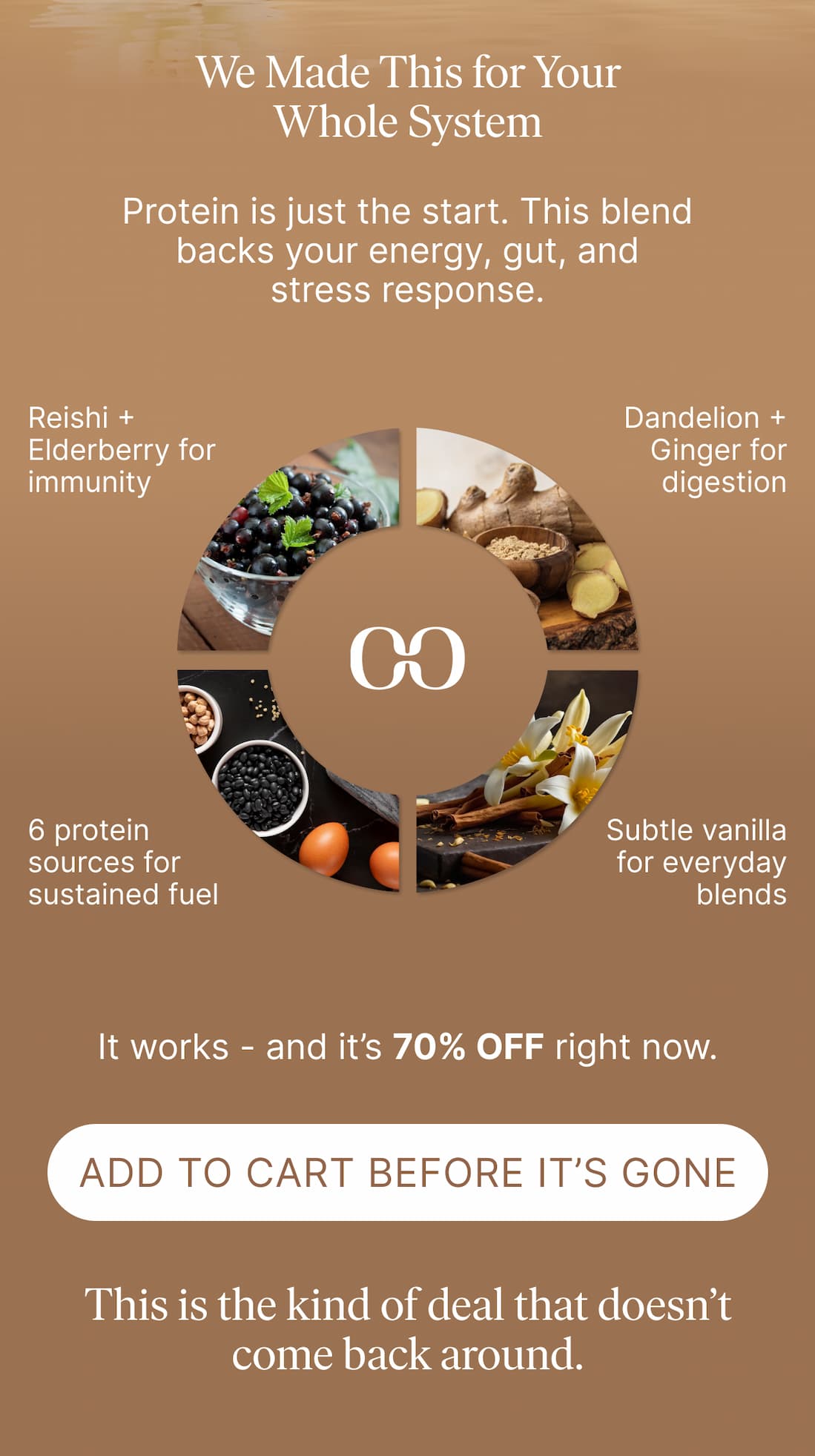 Shop The Sale 