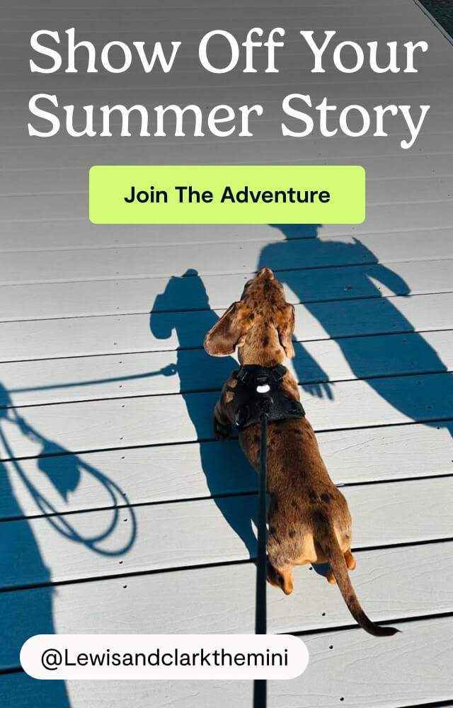 Show Off Your Summer Story