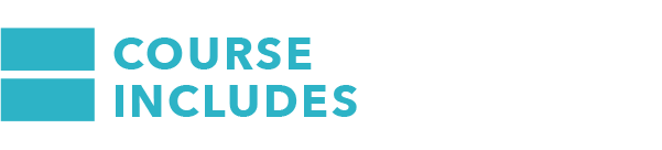 course includes