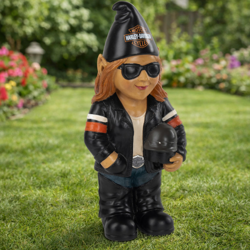 4th_Img_ladyBikerGnome