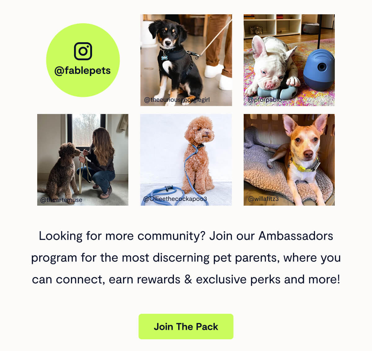 Looking for more community? Join our Ambassadors program for the most discerning pet parents, where you can connect, earn rewards & exclusive perks and more!