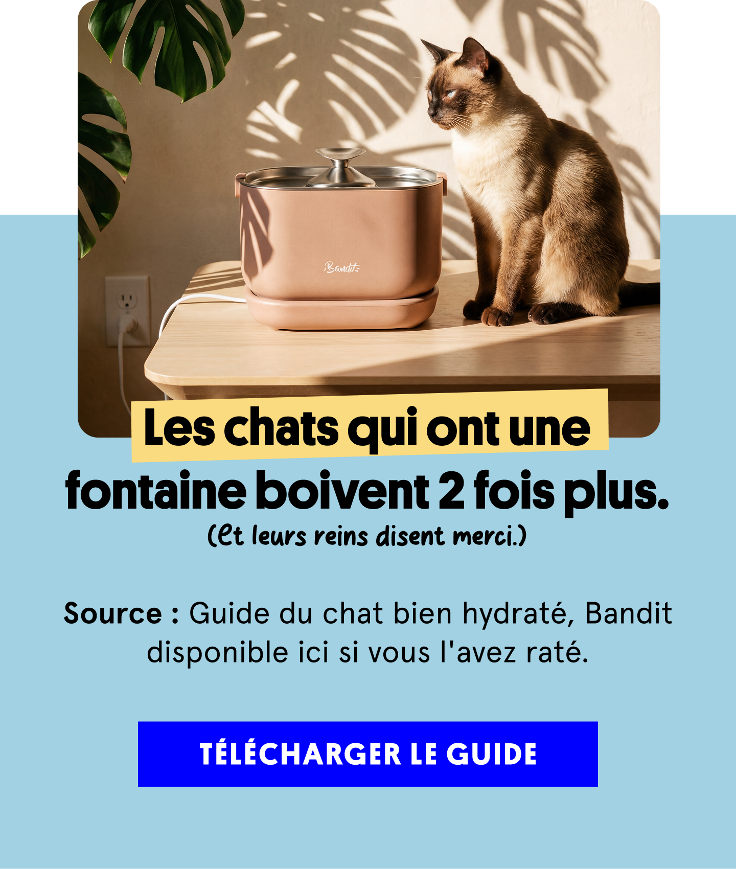 Fontaine à eau 