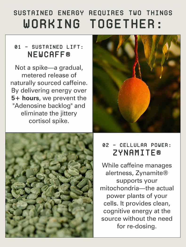 sustained energy