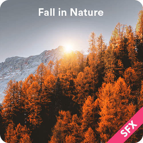 Fall in Nature SFX collection