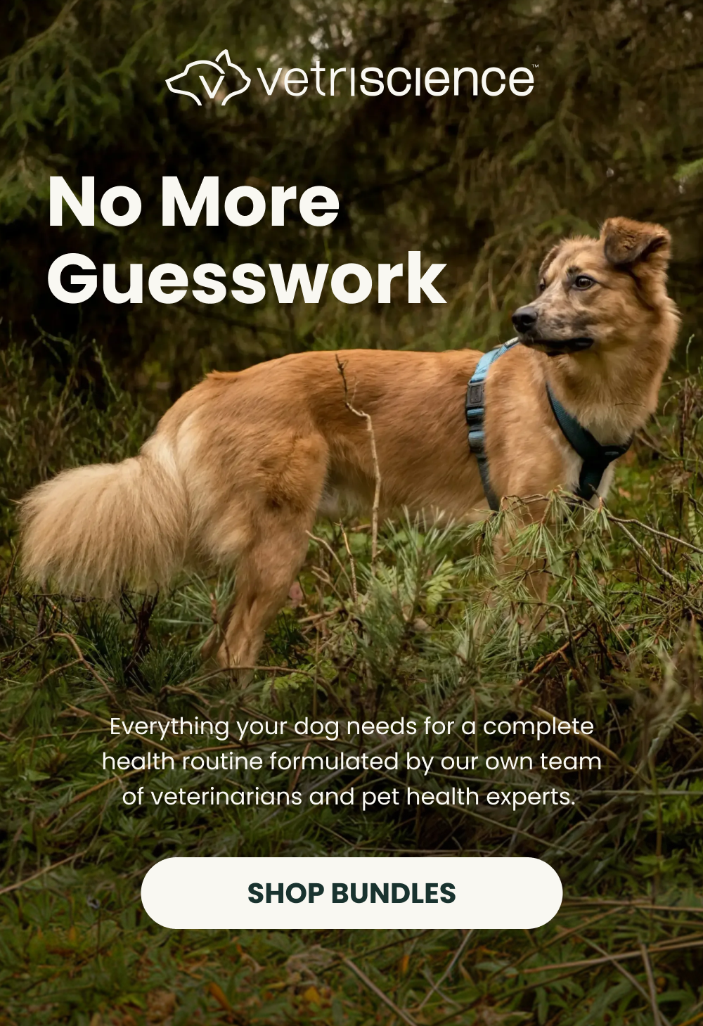 No More Guesswork | Everything your dog needs for a complete routine | SHOP BUNDLES