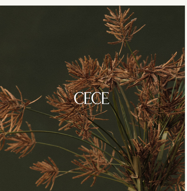 Cece