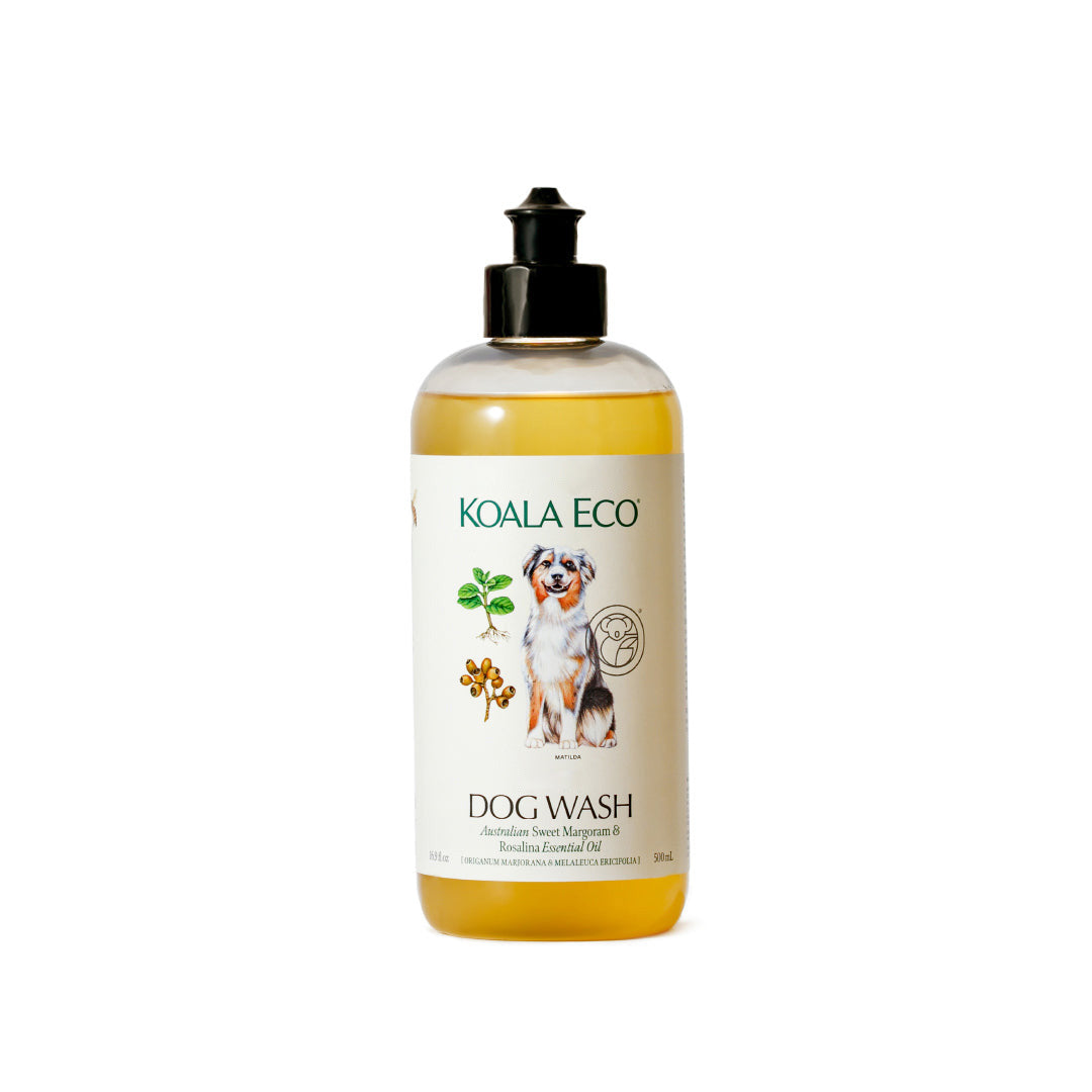 Image of Dog Wash