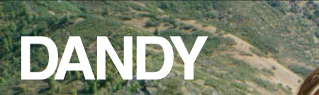 Dandy