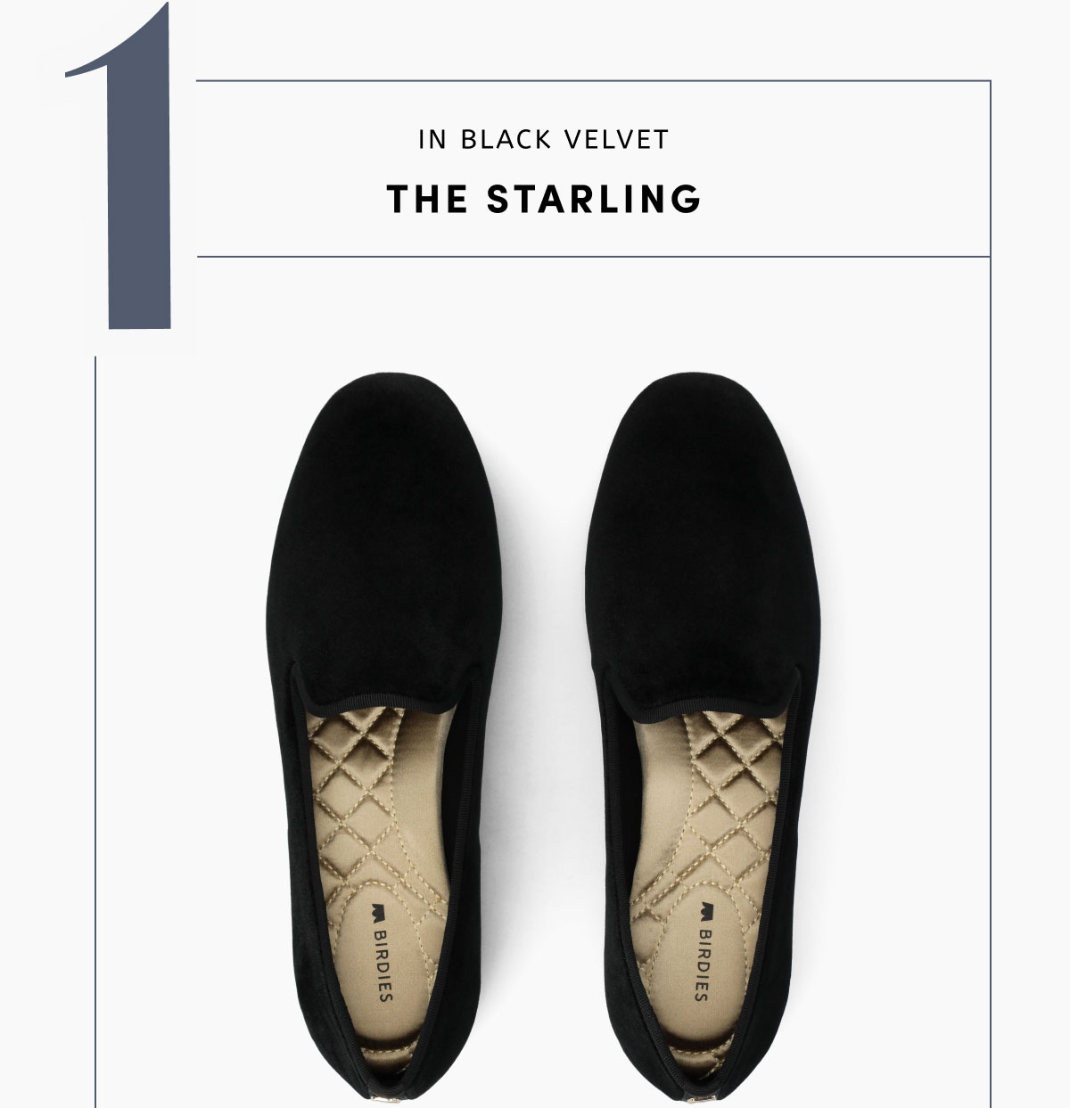 The Starling In Black Velvet