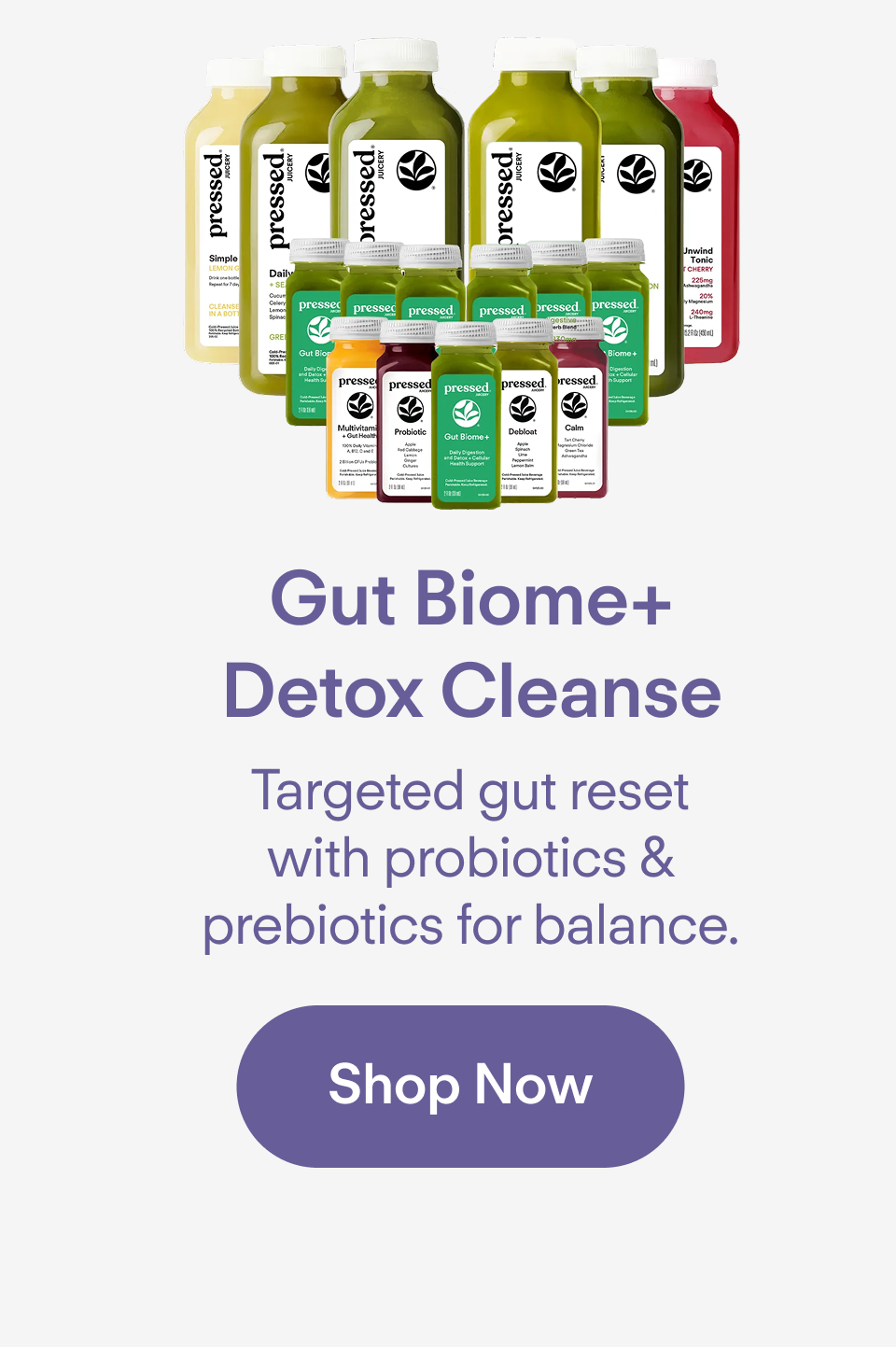 Gut Biome+ Detox Cleanse