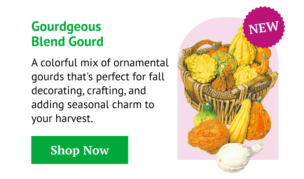 Gourdgeous Blend Gourd Seeds