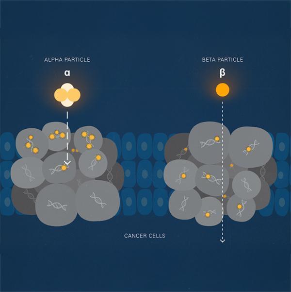 Radioligand therapies consist of radioactive elements that emit different types of radiation