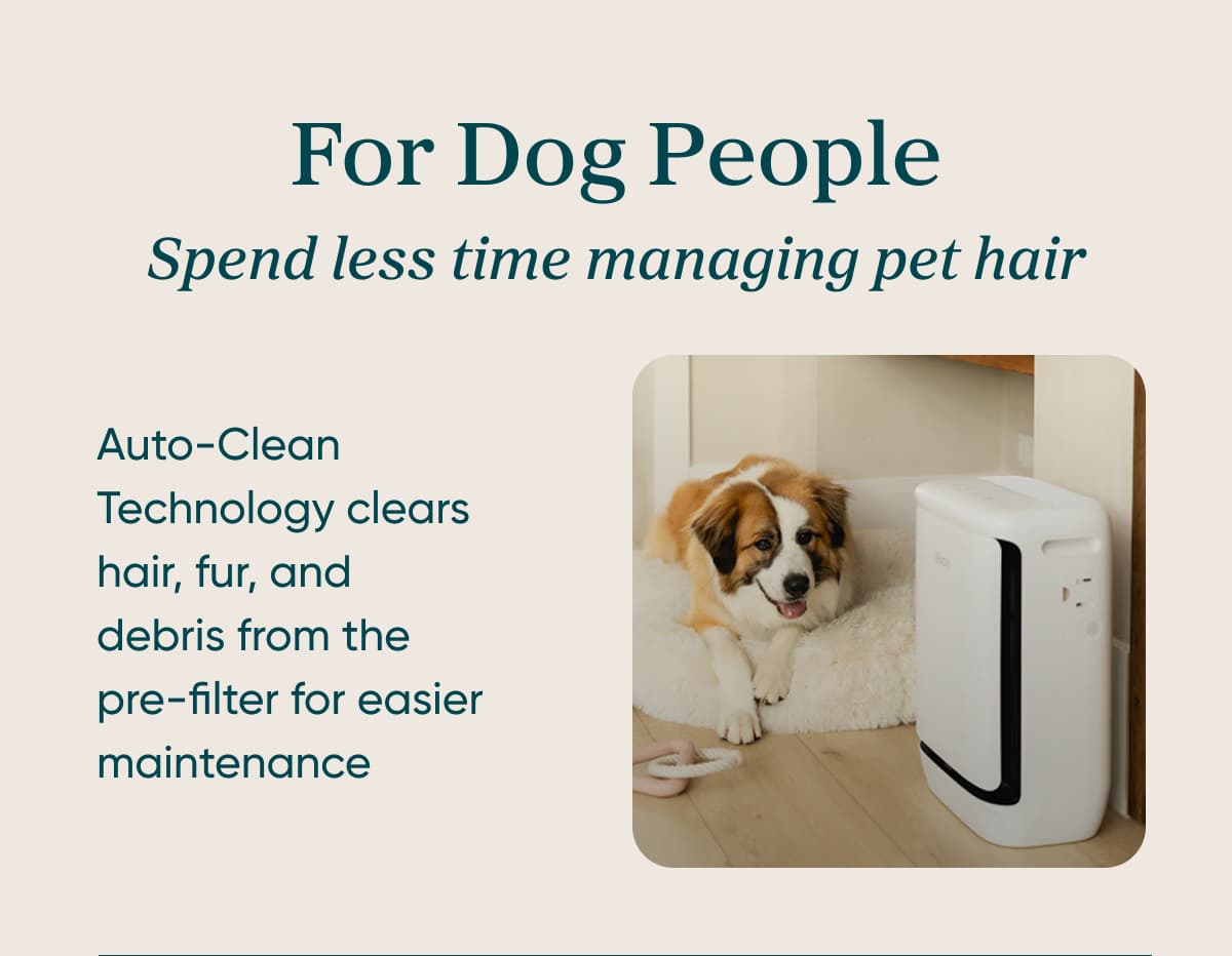For Dog People  Less time managing pet hair