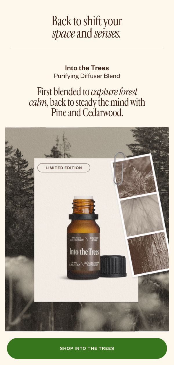 Back to shift your space and senses.