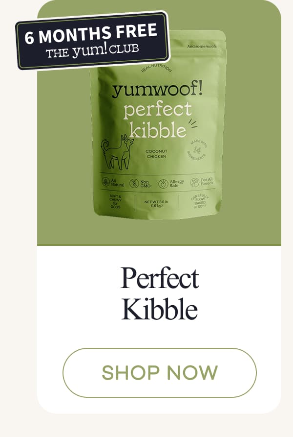 Perfect Kibble | shop now