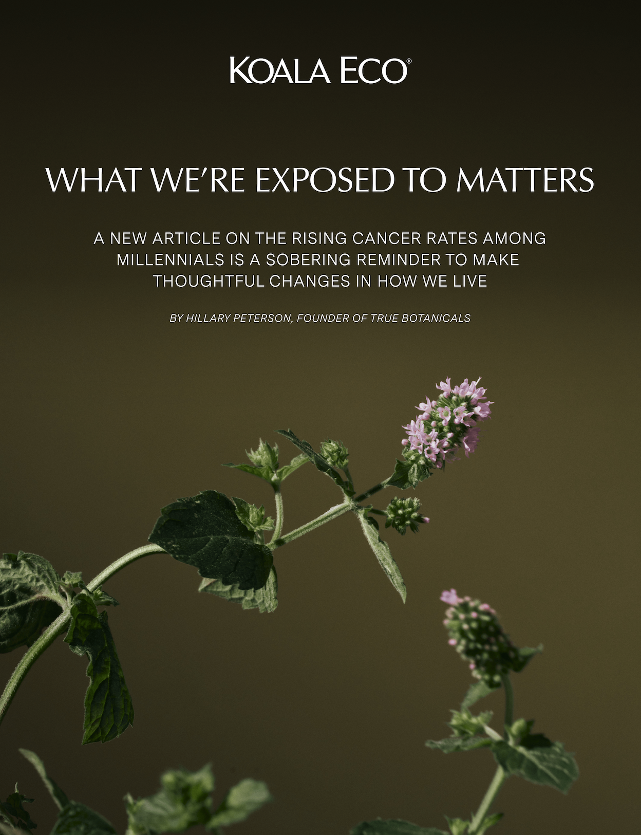 Koala Eco: What We’re Exposed To Matters