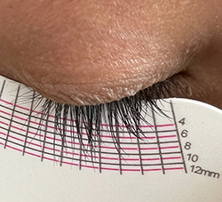 Measuring tool showing length of lashes is approximately 12 mm