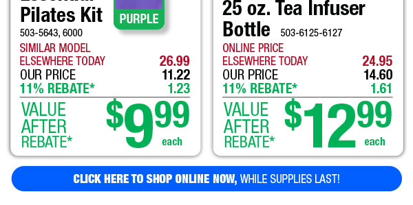 25 oz. Tea Infuser Bottle - ONLY $12.99 After Rebate*!