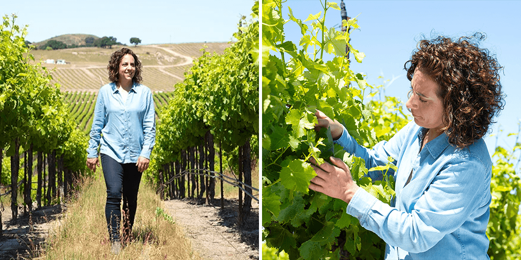 SEAGLASS head winemaker Christine Morrison amongst the vines, she's wearing a light blue long button down shirt and jeans.