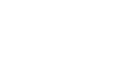 Alternative text