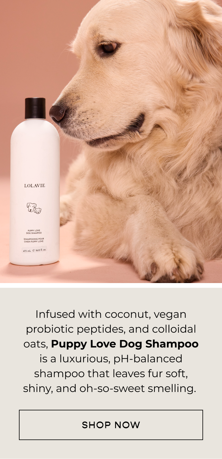 Infused with coconut, vegan probiotic peptides, and colloidal oats, Puppy Love Dog Shampoo is a luxurious, pH-balanced shampoo that leaves fur soft, shiny, and oh-so-sweet smelling. CTA [SHOP NOW]