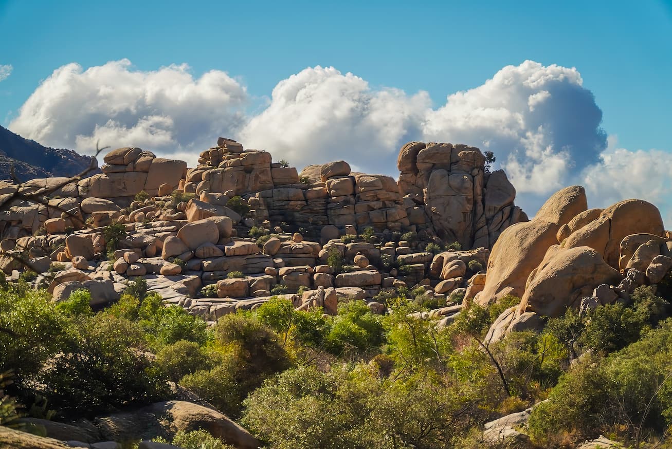 rocks in joshua tree