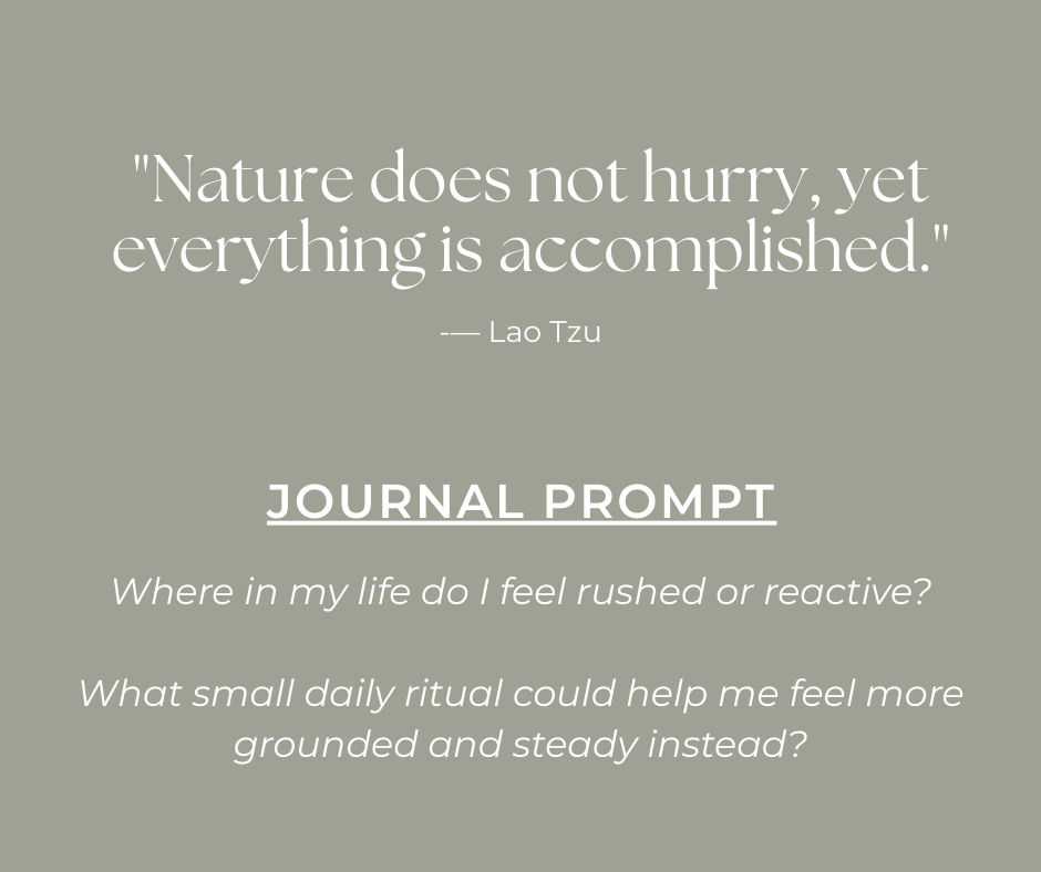 text box with a quote and journal prompt about slowing down and steady rituals