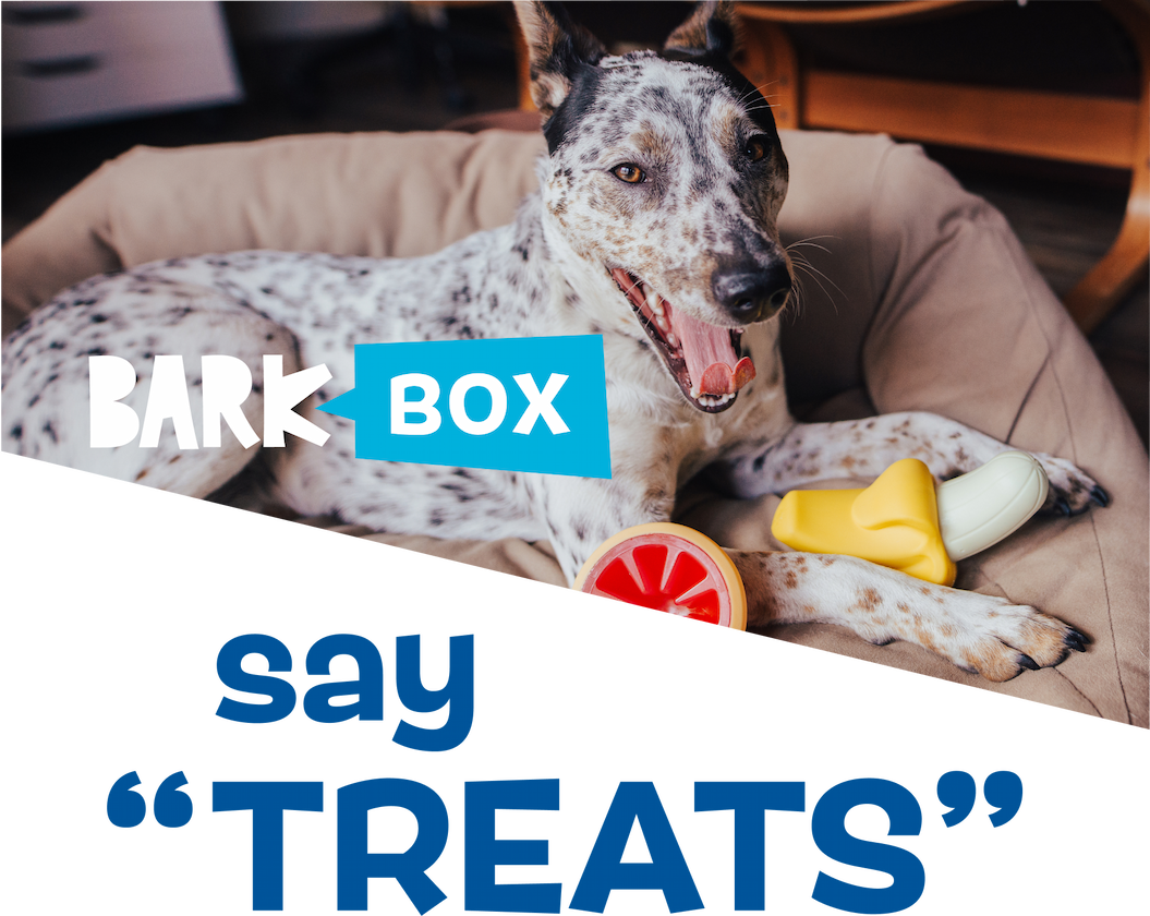 BARK 
