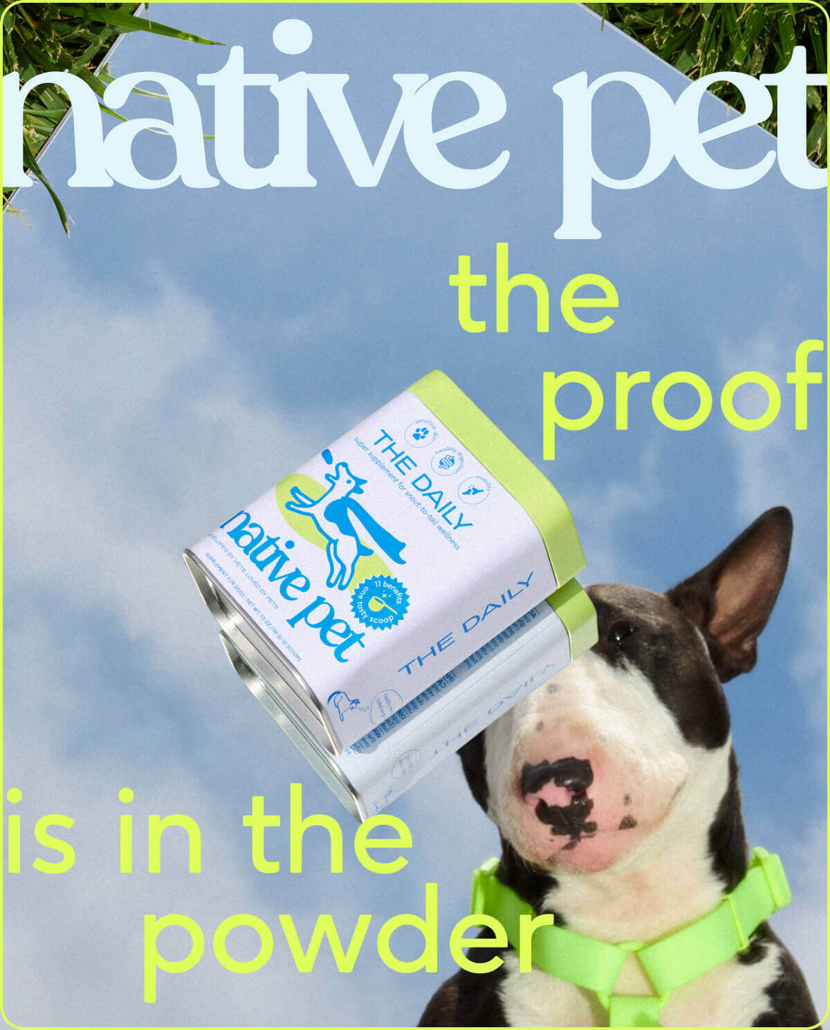 Native Pet The Daily Powder