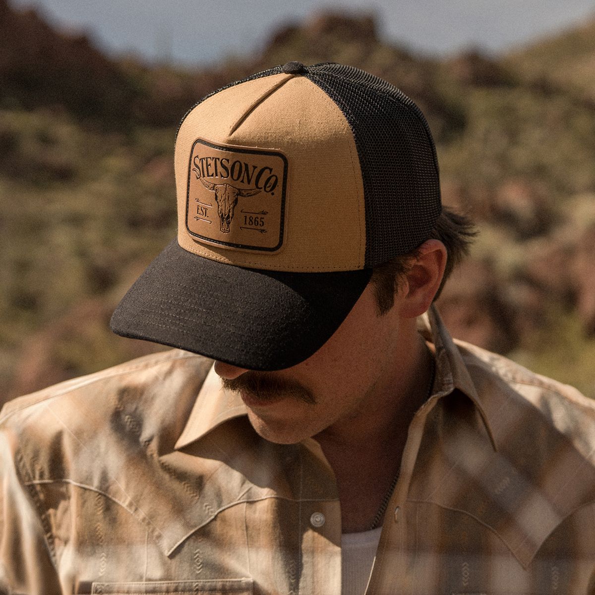 The Mesh Trucker