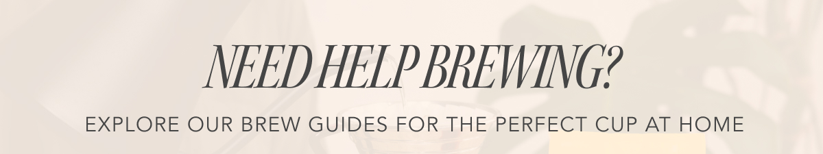 Need Help Brewing? Explore our Brew Guides for the perfect cup at home
