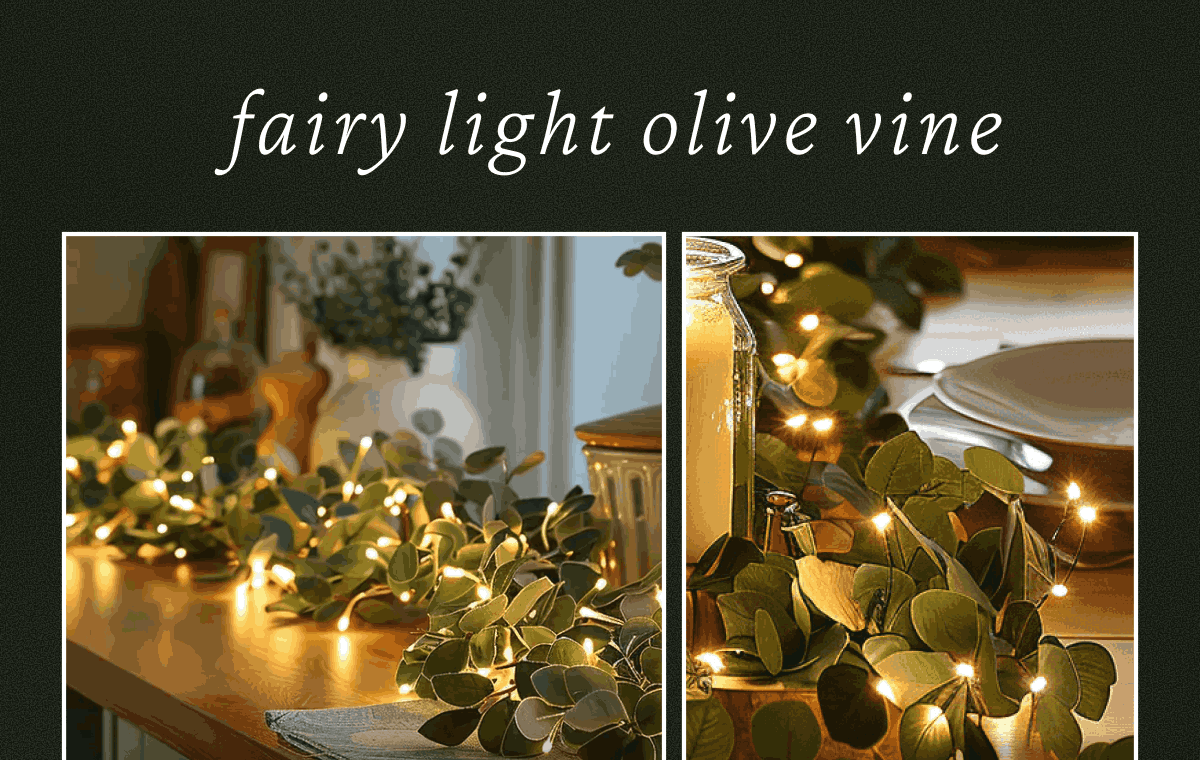 Fairy Light Olive Vine