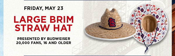 Large Brim Straw Hat